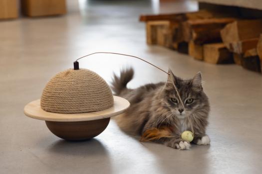 Designed by Lotte Wiggly - Katzenspielzeug, Kratzbaum, Kratzspielzeug